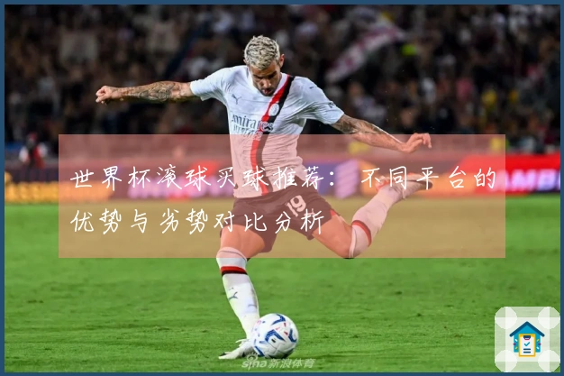 世界杯滚球买球推荐：不同平台的优势与劣势对比分析