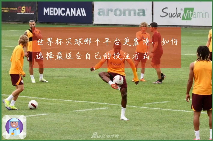 世界杯买球哪个平台更靠谱，如何选择最适合自己的投注方式