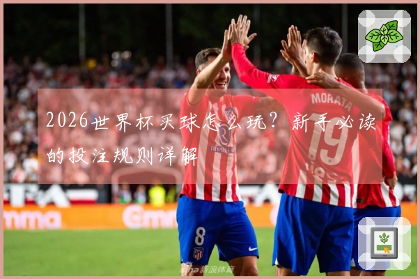 2026世界杯买球怎么玩？新手必读的投注规则详解