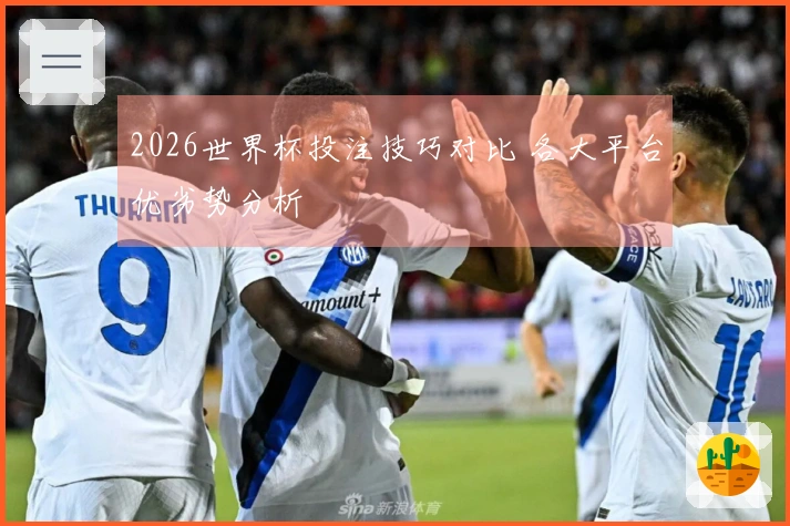 2026世界杯投注技巧对比 各大平台优劣势分析