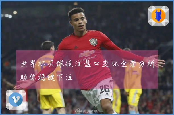 世界杯买球投注盘口变化全景分析助你稳健下注