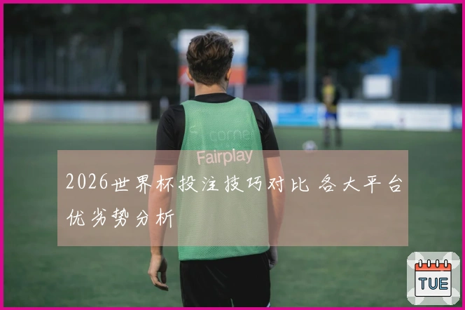 2026世界杯投注技巧对比 各大平台优劣势分析