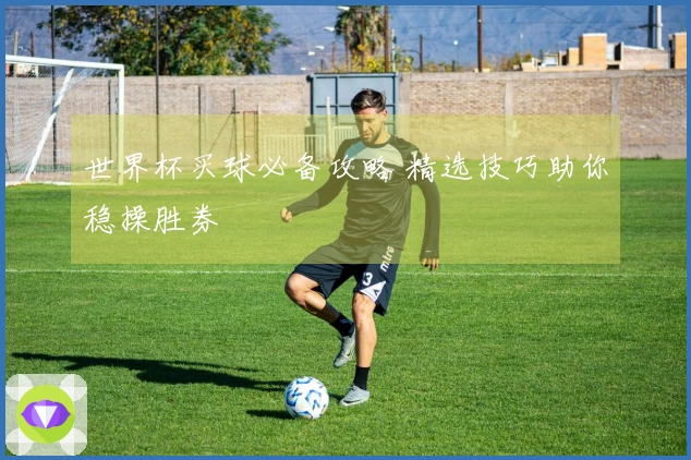 世界杯买球必备攻略 精选技巧助你稳操胜券