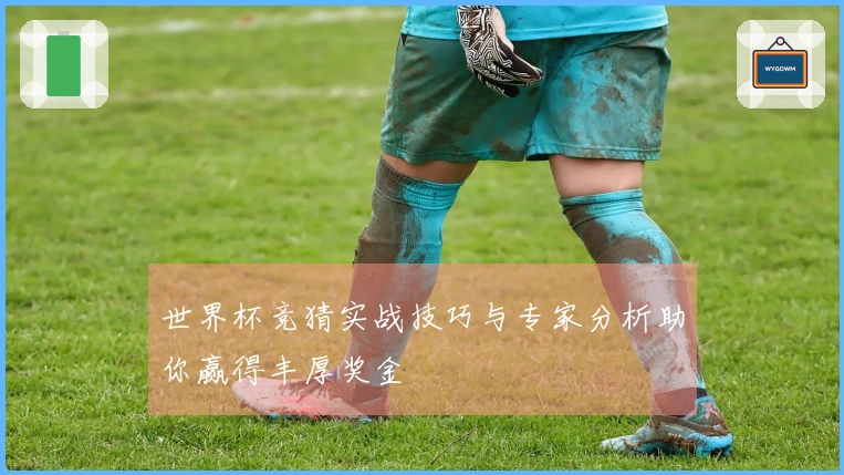 世界杯竞猜实战技巧与专家分析助你赢得丰厚奖金